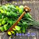 Yueyao Sandalwood Crochet Wood Handle Customized hook needle yarn Sandalwood Crochet Bing Solid Wood Handle Crochet Barrier Bin Bin Bin Bin Bin Bin Bin Bin Bin Bin Bin Bin Bin Bin Bin Bin Bin Bin Bin Bin Bin Bin Bin Bin Bin Bin Bin Bin Bin Bin Bin Bin Bin Bin Bin Bin Bin Bin Bin Bin Bin B Yueyao Sandalwood Crochet Wood Handle Customized hook needle yarn Sandalwood Crochet Bing Solid Wood Handle Crochet Barrier Bin Bin Bin Bin Bin Bin Bin Bin Bin Bin Bin Bin Bin Bin Bin Bin Bin Bin Bin Bin Bin Bin Bin Bin Bin Bin Bin Bin Bin Bin Bin Bin Bin Bin Bin Bin Bin Bin Bin Bin Bin B