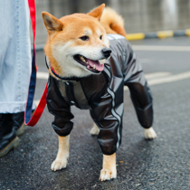 Puppy Dog Rainjacket Four-foot Waterproof All-pack Large Dog Rainjacket Pets in Large Dog Rainclothes
