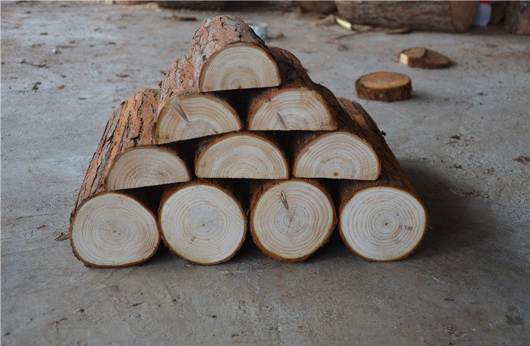 原生态小木桩围栏木头栅栏壁炉装饰木柴原木摆件圆木头桩子