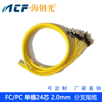 Haichuang optical FC UPC single-mode 24-Core 2 0mm branch tail cable branch jumper 10 m telecom-class indoor optical fiber