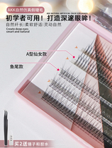 True fairy sun flower akk single cluster false eyelashes natural simulation second throw planting third box 0 yuan 5 days hair