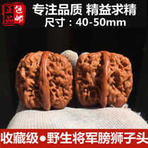 Machine brush paste northwest general bladder lion head Wen play walnut extra large collection level 40 45 50mm wild niche