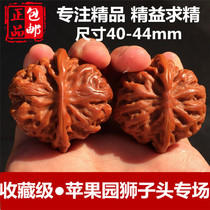Wenwen walnut play hand braised top four-story apple orchard white lion head Collection level machine brush paste Walnut