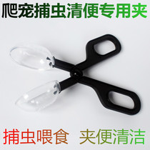 NOMO reptile clip pet reptile insect Spider lizard scorpion poison clip plastic clip barley clip