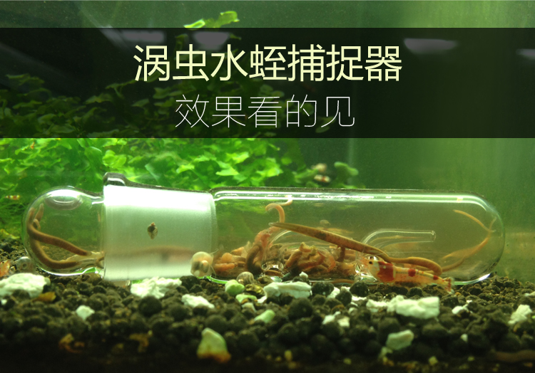 涡虫水蛭诱捕笔水晶玻璃涡虫捕捉器2孔涡虫笔涡虫诱捕
