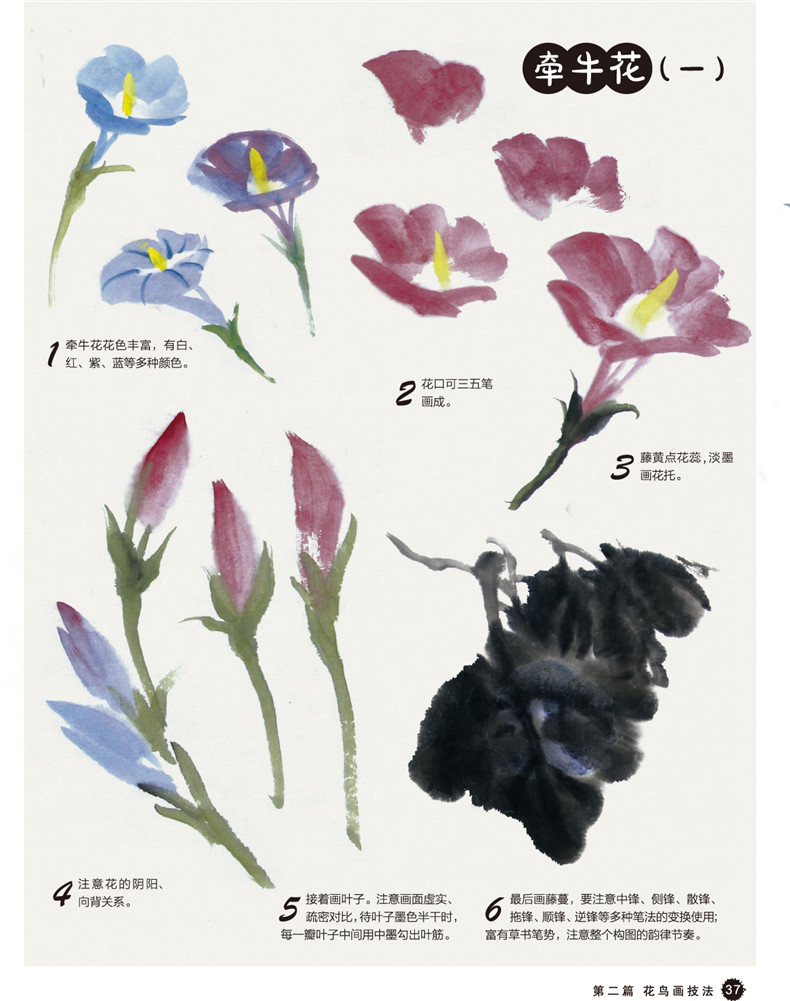 中国花鸟画基础教程 国画技法 零基础学国画 国画入门基础教程 hg