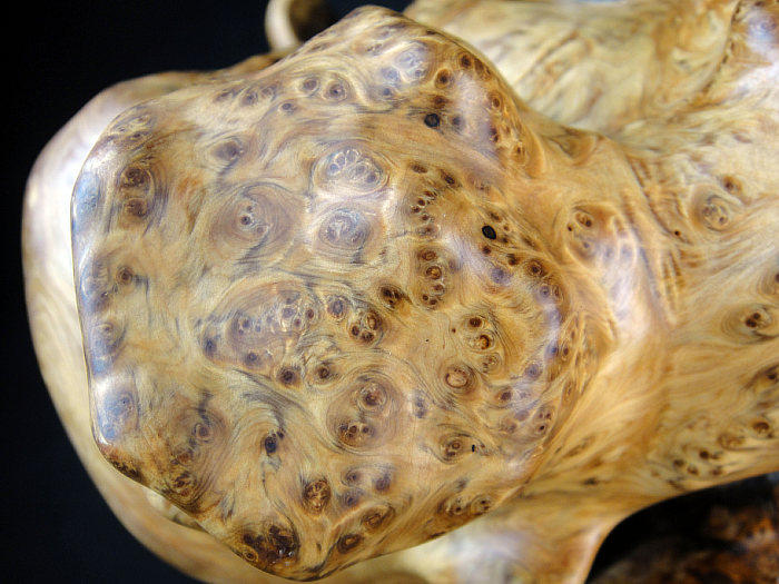 木檀世家 崖柏木雕件根雕树瘤影子木 风之舞者崖柏瘿瘤花摆件