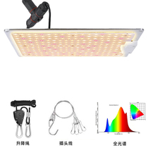 Sunlight Samsung dimming LED plant fill light Full spectrum growth light Horticultural succulent orchid planting light