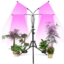 LED plant light lamp Full spectrum growth lamp Flower green plant succulent orchid bonsai Home plant sun lamp