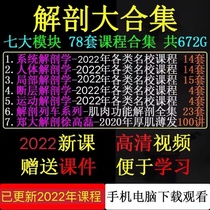 Anatomical Train Human Movement Function Muscular System Brain Nerve Section Partial Einstein Course Video Complete Works