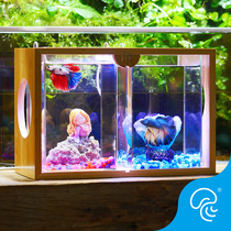 Thai ecological lazy fighting fish tank mini creative office mini fish tank dormitory desktop double grid small tank