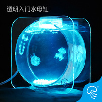 Simple jellyfish tank living fully transparent jellyfish tank living object introduction Mini small red moon jellyfish desktop aquarium