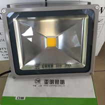 Yaming Lighting Super Bright LED Throw Light Lamps 30W50W100W200W Industrial Safety Lamp Floodlight Green Floodlight