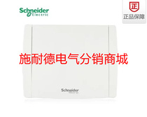 Schneider distribution box Strong electric box Tianyi concealed opaque door single row 12 loop air open power distribution 13679