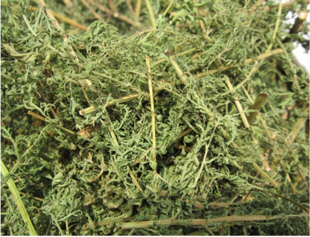 野生干黄花蒿黄蒿青蒿臭蒿子 香蒿 臭蒿 茎叶干品一斤包邮