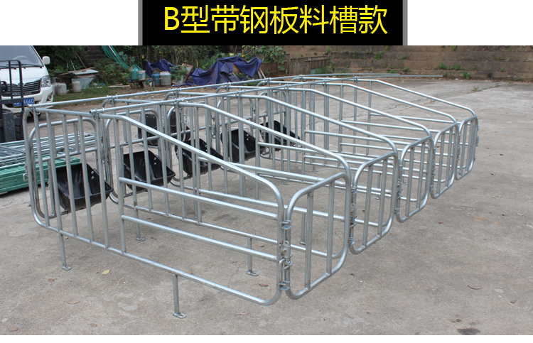 母猪限位栏定位栏猪用养殖定位床单体栏养殖设备2.