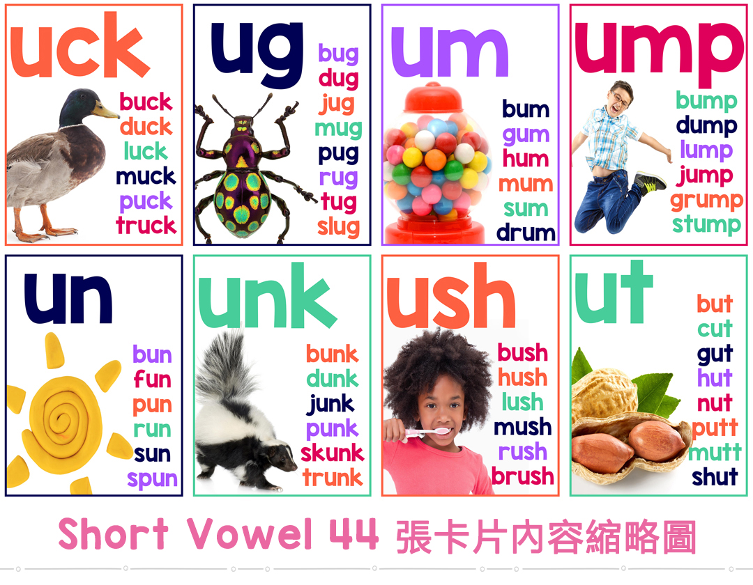 英语自然拼读单词卡片101基础词根实景照片英文教师启蒙学具闪卡