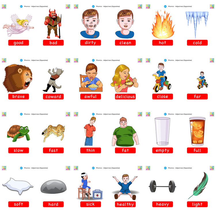 adjectives 形容词反义词英语单词卡片 英文早教启蒙教学闪卡教具