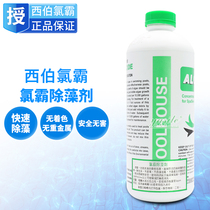 Taiwan Chlorine Bullosa Swimming Pool Hydrotherapy Pool Water Treatment for Algae Massage Pool Water Treatment Agents