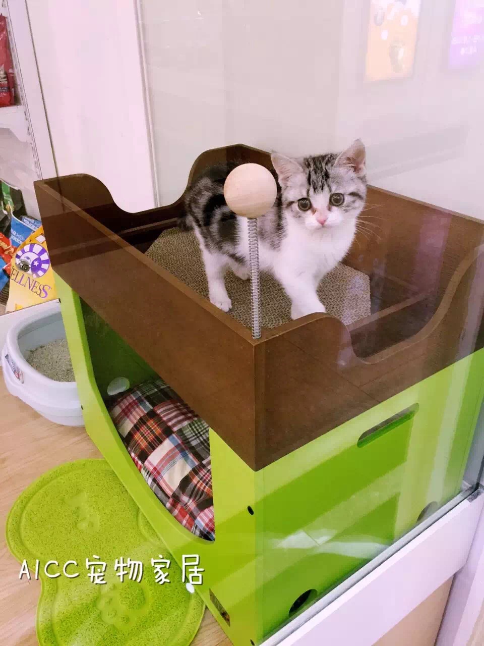 aicc宠物家居积木房子乐园窝猫窝猫床猫宠物scratch定义积木图片