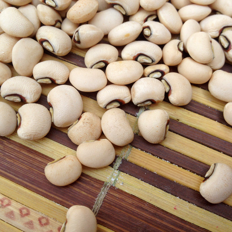 山东农家自种白江豆 豇豆 姜豆白色豆子五谷杂粮豆类粥汤饭原材料