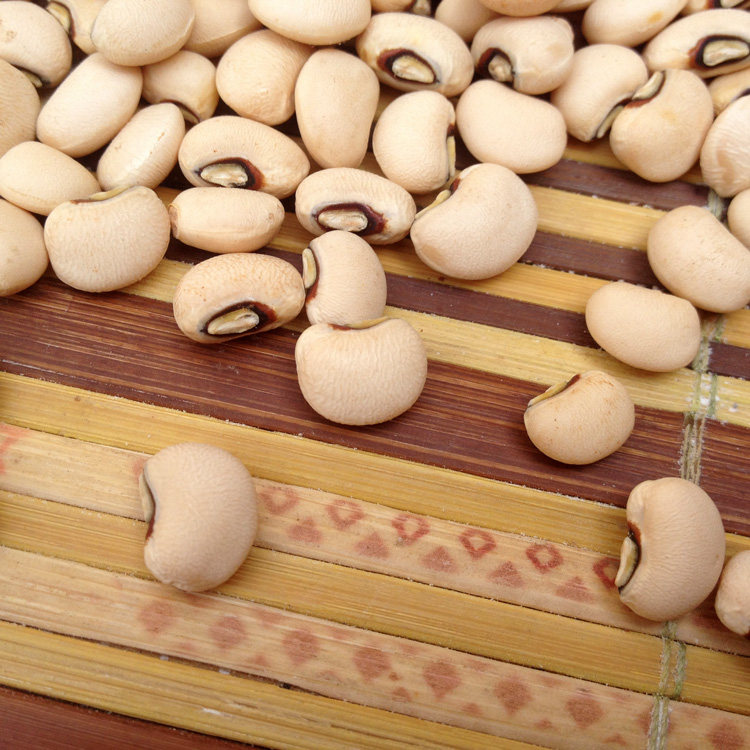 山东农家自种白江豆 豇豆 姜豆白色豆子五谷杂粮豆类粥汤饭原材料