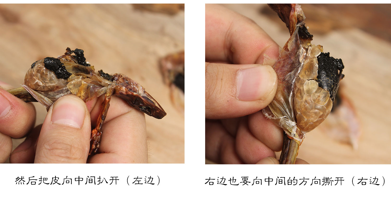 长白山正品泡发100倍雪蛤碎油