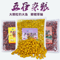 Western wind grains fish corn Qu Xiang carp grass carp herring bait wild fishing black pit Reservoir