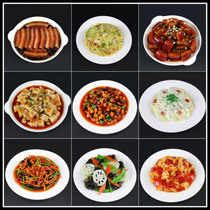 Simulation dish model fake dish food fried rice hot dish seafood Chinese food cold dish stir-fry food model manufacturer customized