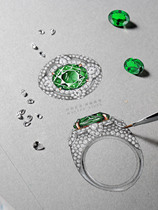 Chinese Tanzania Shaffley naked stone custom 18k diamond-studded gem ring earrings necklace