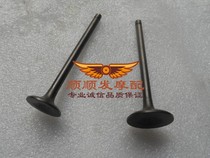 Suitable for Golden Prince CA250-DD250 Nighthawk 250 valve assembly intake Rod exhaust Rod