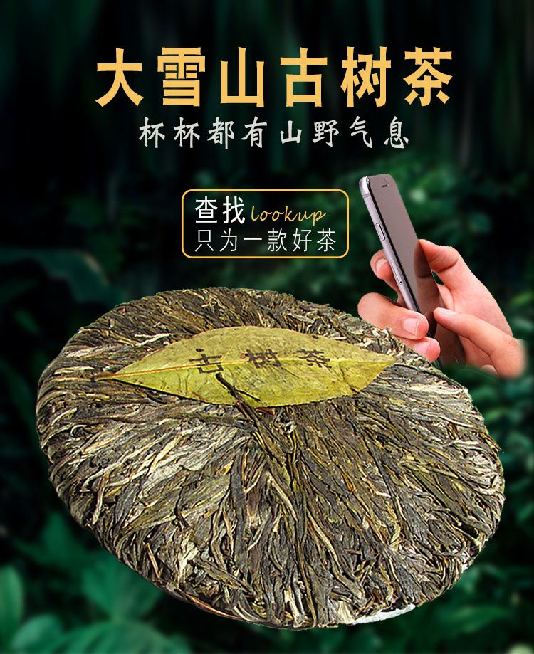 大雪山普洱茶生茶饼茶野生古树茶云南七子饼茶叶纯料手工坊生茶饼