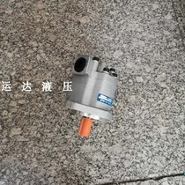 Gear hydraulic motor Hydraulic gear motor GM5-20-1FE13S-20 garden hydraulic motor
