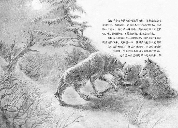 沈石溪和他喜欢的动物小说:残狼灰满.小战马(音频讲播版)