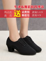 Sansa Oxford cloth teacher shoes Female Latin adult dance Square dance heel dance shoes Sailor dance soft-soled dance shoes