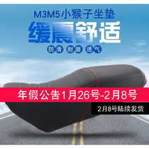 Little Monkey M3M5M6 Electric Motorcycle Modified Cushion Little Monster Sofa Seat Electric Vehicle M8(16 Cool Horse Cushion)