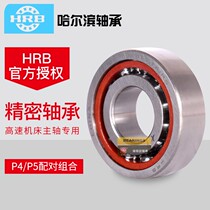 HRB Harbin Precision Spindle Bearing 7206 7207 7208 7209 7210 7211 DBB ACTA
