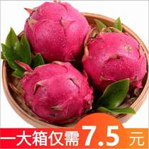 Dragon fruit red heart 5 kg whole box fresh sweet Jindu No 1 honey treasure red meat mini big fruit special price 2 kg batch