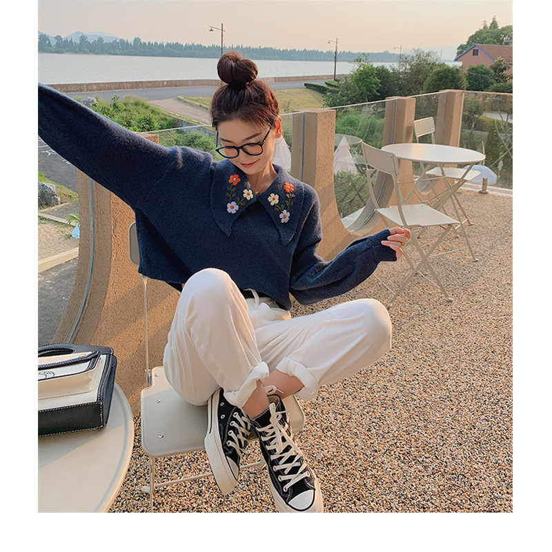 灯笼袖翻领刺绣针织衫2021秋冬新款女时尚宽松短款毛衣上衣_朵儿女装