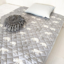 Day Single Spring Summer Cool Sensation Speed Dry Single Thin Mattress Breathable North Polar Bear Sandal Yarn Dorm Bed Linen Bacteriostatic Stink