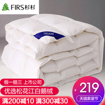 Duvet 95 white goose down quilt five-star hotel quilt cotton winter quilt spring and autumn thickened warm single double