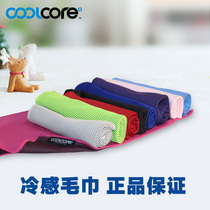 American coolcore mesh cold wrist towel outdoor sports running small towel sweat-absorbing quick-drying cooling handkerchief