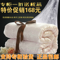 Silk quilt 100% mulberry silk cotton quilt single double spring and autumn thickening winter quilt air conditioner summer cool quilt mother quilt core