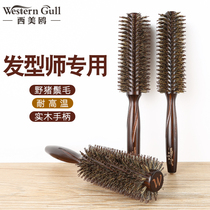 Barber shop professional bristle roller comb anti-static curly hair comb blowing pear flower inner buckle large roll cylinder shape comb