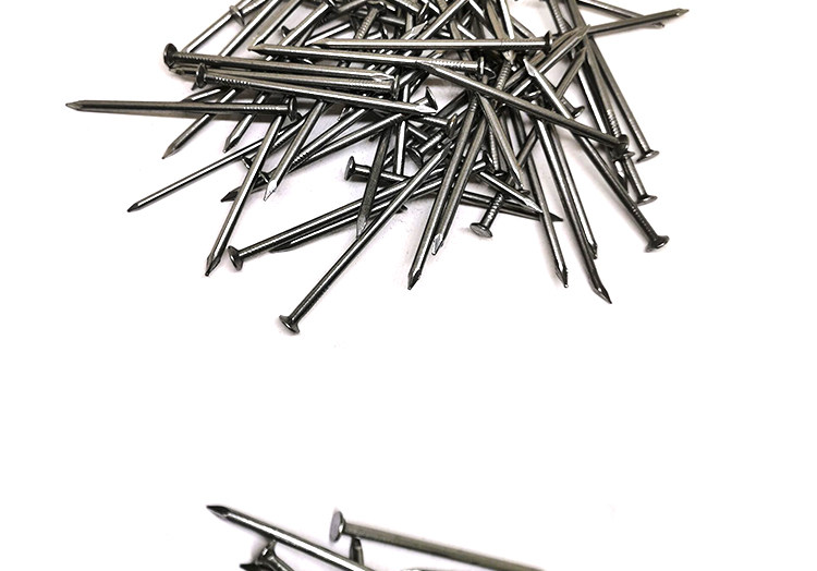 小铁钉家用细钉子大圆钉洋钉木工长钉墙钉粗钉铁丁羊钉木头板加长