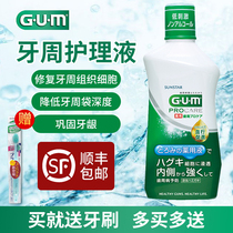 GUM gum vitality liquid Japanese mouthwash in addition to bad breath sterilization Gingivitis bleeding atrophy red swelling loosening care