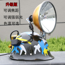 Hernia lights hunting strong light super bright flashlight outdoor fishing lights hunting Xenon lights 12v