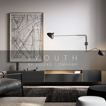 IYOUTH Spain imported Nordic minimalist modern fashion design solid wood living room TV cabinet lockers