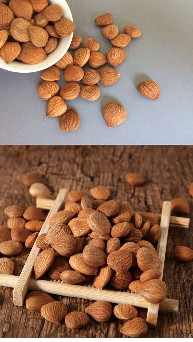 山杏仁 生苦杏仁 承德特产野生北中药材药用大扁生的杏仁500g包邮_7折