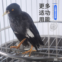 Stainless steel bird cage accessories dung bottom net interspersed with steel wire parrot breeding cage net bottom bird supplies